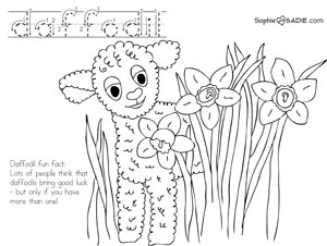 sheep-daffodils
