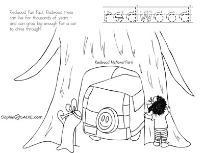 Redwood Forest Coloring Page